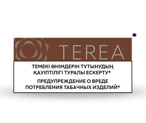 TEREA Bronze (1 carton / 10 packs)